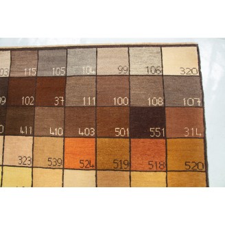 Color Chart Rug