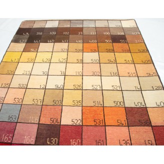 Color Chart Rug