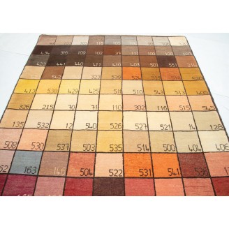 Color Chart Rug