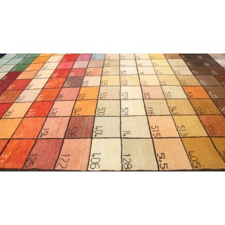 Color Chart Rug