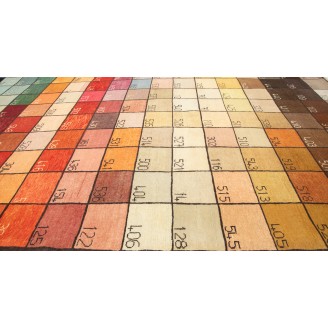 Color Chart Rug