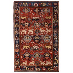 Rug Collection - Ararat Rugs